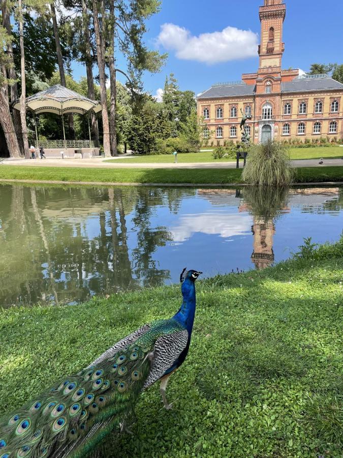 Charmant T2 Avec Grande Terrasse Quartier Jardin Massey Tarbes Esterno foto